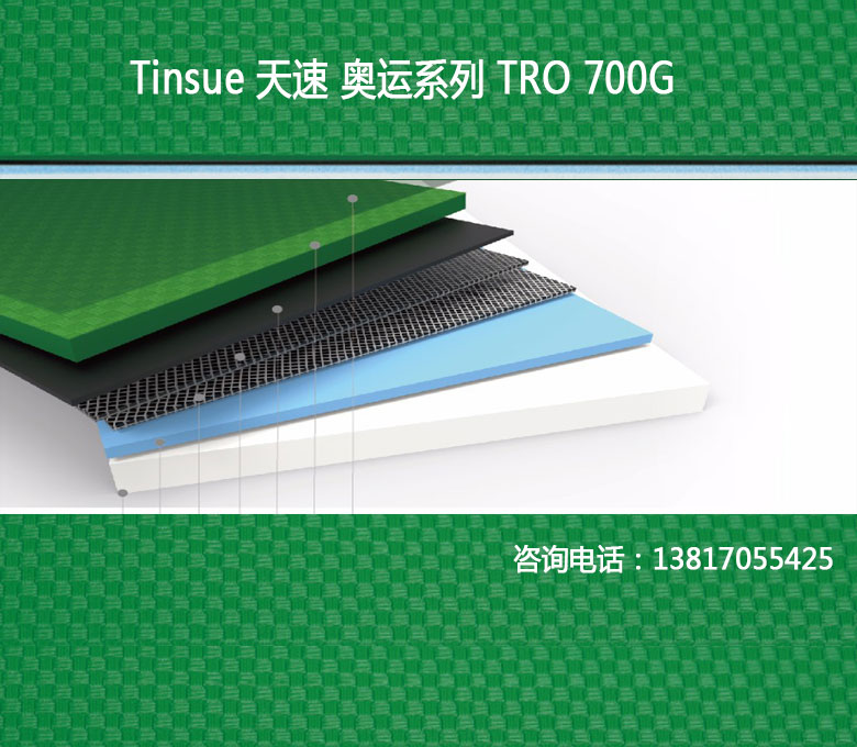 天速Tinsue乒乓球PVC运动地胶奥运系列TRO-700G